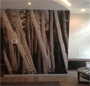 office5.jpg